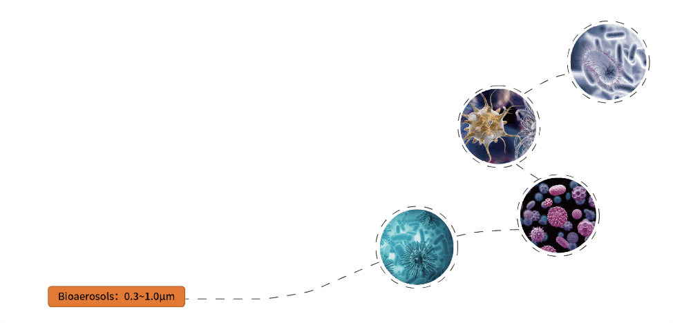 Pathogen Particles